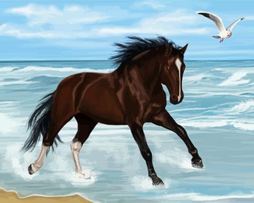 Brown Horse On The Beach Paint By Number