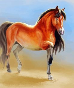 Brown Mare Horse Paint By Number