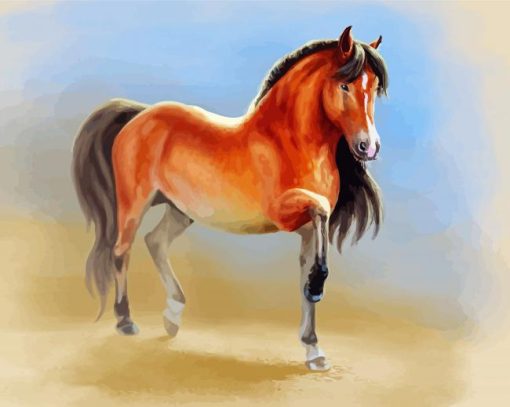 Brown Mare Horse Paint By Number