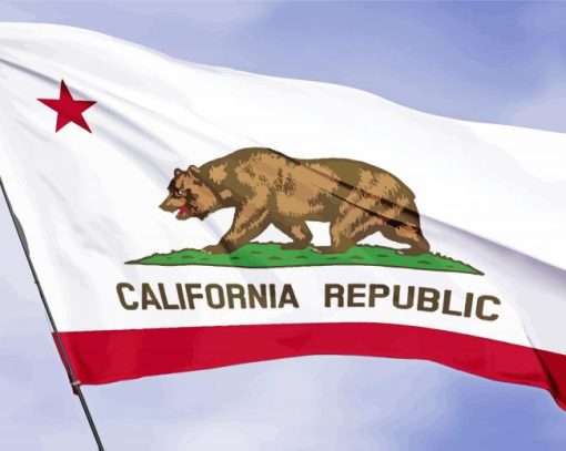 California State Flag Paint By Number