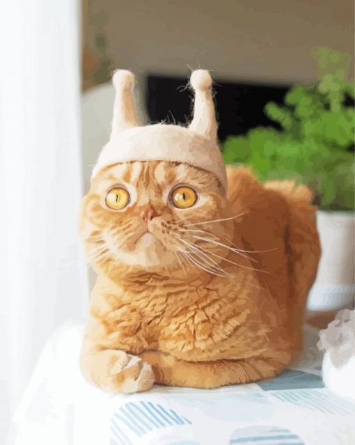 Cat Ant Ears Hat Paint By Number