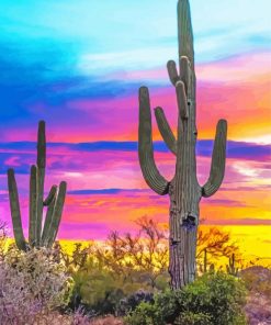 Colorful Sunset Arizona Paint By Number