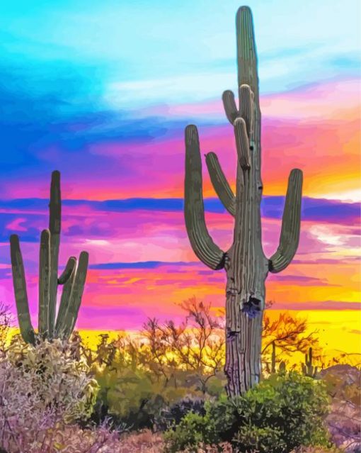 Colorful Sunset Arizona Paint By Number