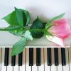 Cool Piano With Pink Rose Paint By Number