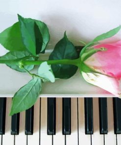Cool Piano With Pink Rose Paint By Number