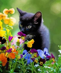 Cute Black Cat And Flowers Paint By Number