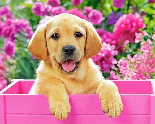 Cute Puppy In Pink Flowers Paint By Number