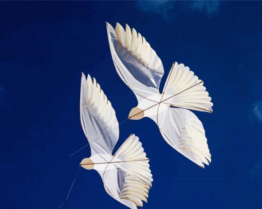 Doves Kites Paint By Number