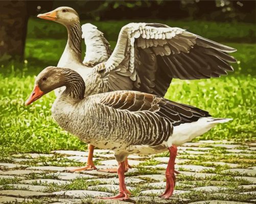 Grey Geese In The Garden Paint By Number