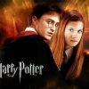 Harry Potter And Ginny Weasley Poster Paint By Number