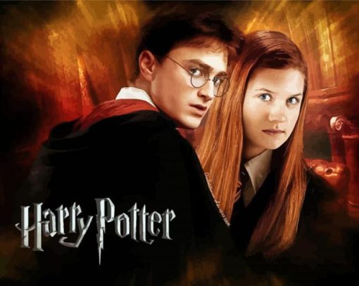 Harry Potter And Ginny Weasley Poster Paint By Number