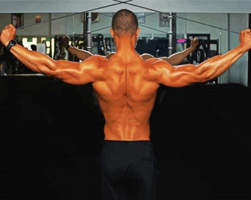 Man Back Muscles Paint By Number