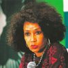 Minister Lindiwe Sisulu Paint By Number