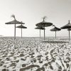 Monochrome Parasols On The Beach Paint By Number