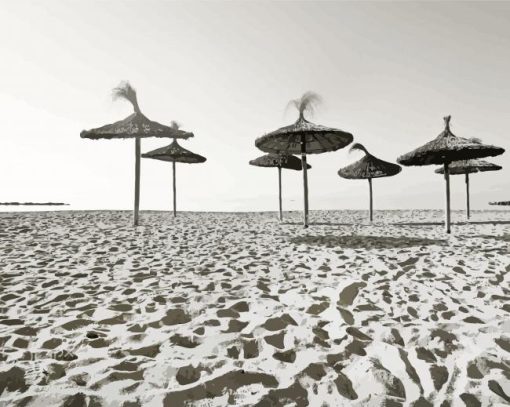 Monochrome Parasols On The Beach Paint By Number