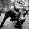 Monochrome Wall Street Bull Paint By Number