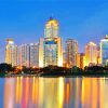 Nanning City Buildings Paint By Number