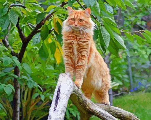 Orange Large Fluffy Cat Paint By Number