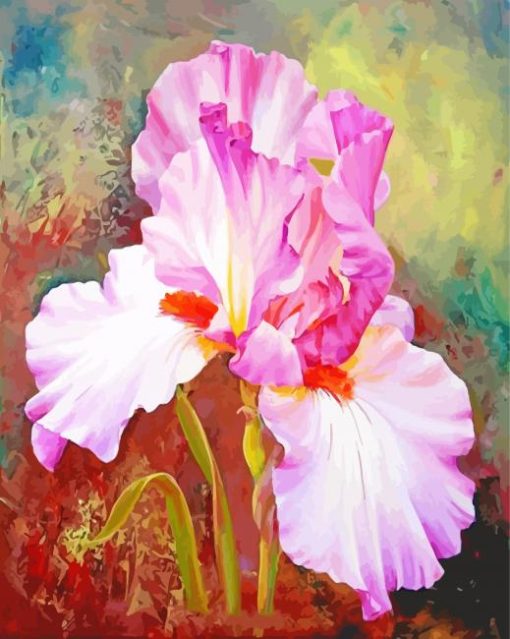 Pink Iris Flower Paint By Number