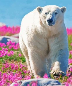 Polar Bear In Flowers Field Paint By Number
