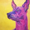 Purple Xolo Dog Art Paint By Number