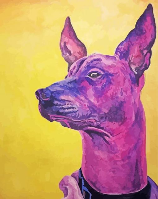 Purple Xolo Dog Art Paint By Number