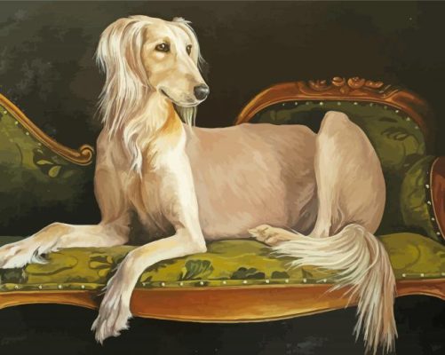 Saluki Dog Animal Art Paint By Number