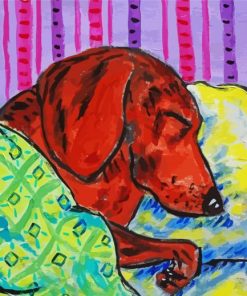 Sleeping Dachshund Paint By Number