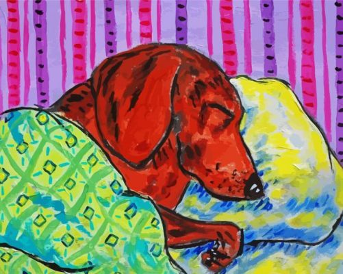 Sleeping Dachshund Paint By Number