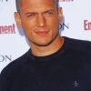 The American British Actor Wentworth Miller Paint By Number