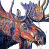 Velvet Moose Head Paint By Number