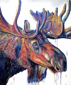 Velvet Moose Head Paint By Number