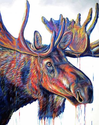 Velvet Moose Head Paint By Number