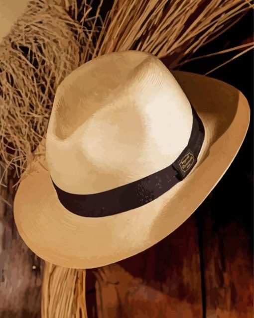 Vintage Panama Hat Paint By Number