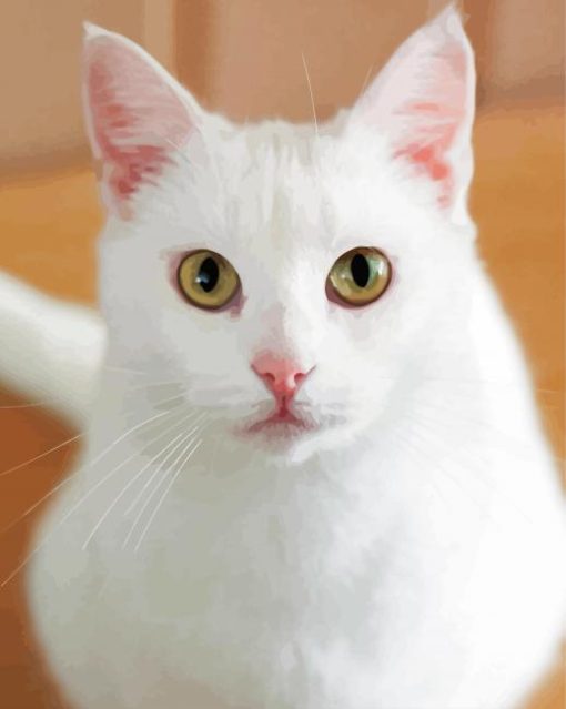 White Cat Animal Paint By Number