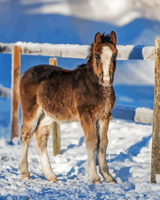 Winter Horse Foal Paint By Number