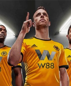 Wolves Fc Players Paint By Number