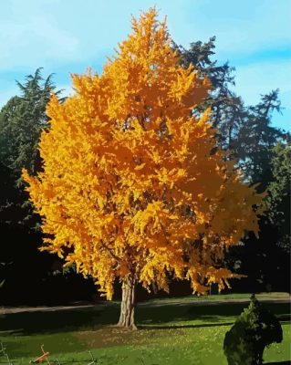 Yellow Ginkgo Biloba Tree Paint By Number