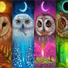 4 Seasoned Owl Paint By Number
