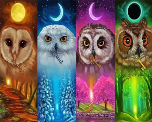 4 Seasoned Owl Paint By Number