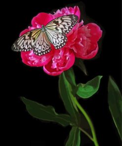 Butterfly On Peony Paint By Number