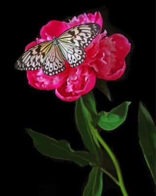 Butterfly On Peony Paint By Number