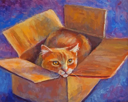 Cat In A Box Paint By Number