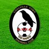 Coalville Town Football Club Logo Paint By Number