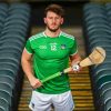 Limerick County Hurling Player Paint By Number