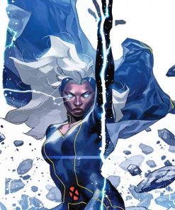 Marvel Comics Storm Paint By Number