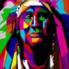 Native Pop Art Paint By Number