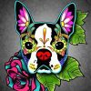 Sugar Skull Boston Terrier Paint By Number