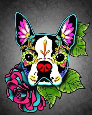 Sugar Skull Boston Terrier Paint By Number