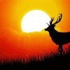 Sunrise Deer Silhouette Paint By Number